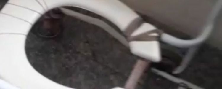 Video: veja o estado de calamidade dentro do Complexo Hospitalar Gentil Filho.